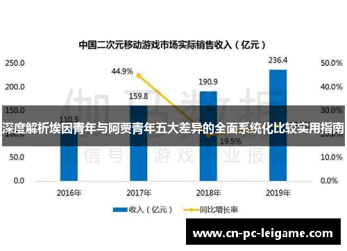深度解析埃因青年与阿贾青年五大差异的全面系统化比较实用指南