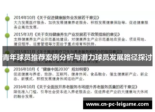 青年球员推荐案例分析与潜力球员发展路径探讨